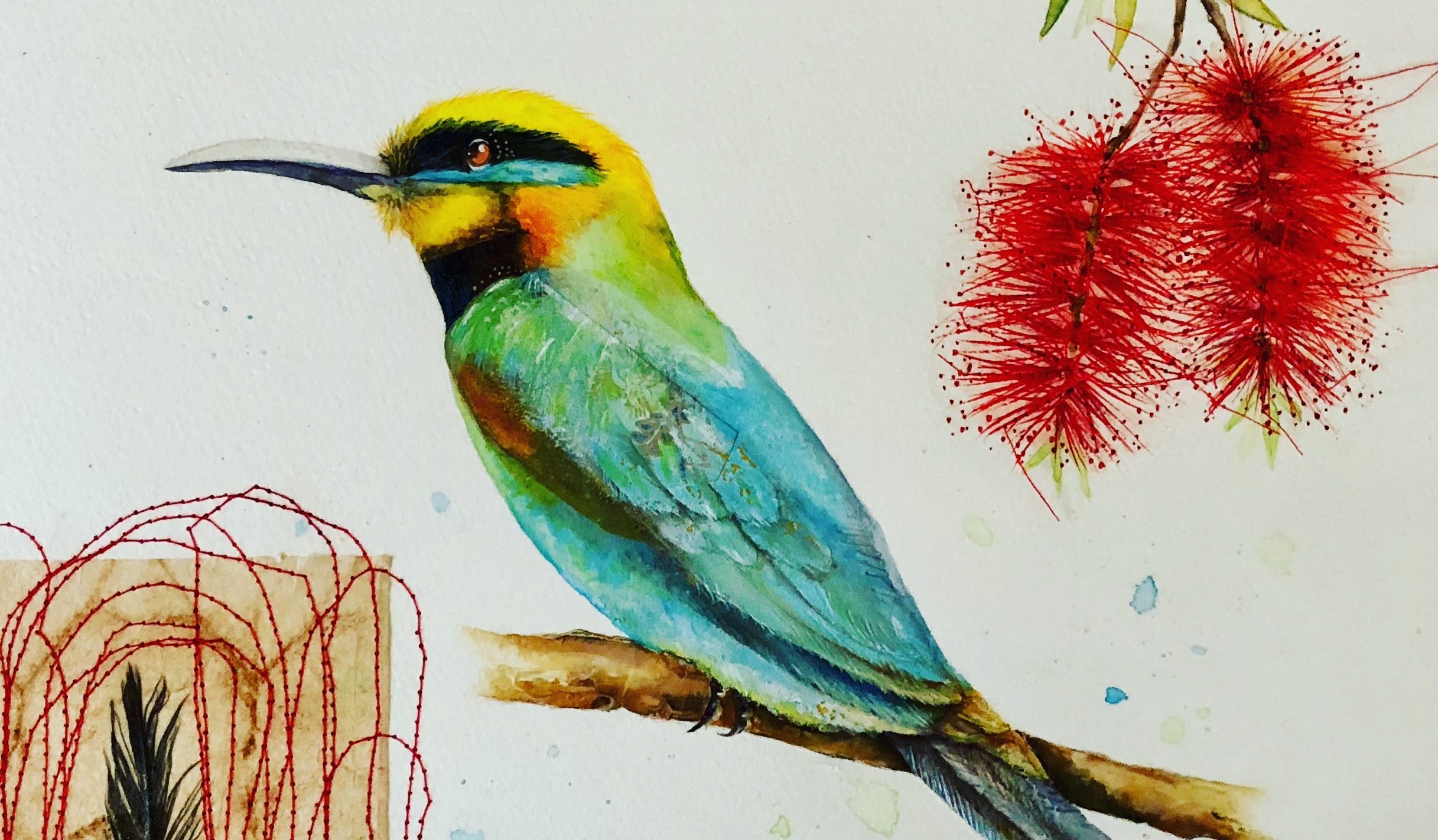 Maleny, Sunshine Coast, Art, Artist, Art Studio, Art Workshops, Art Classes