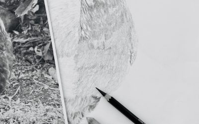 The Art of Choosing Drawing Paper: Exploring Grades, Brands, and Quality