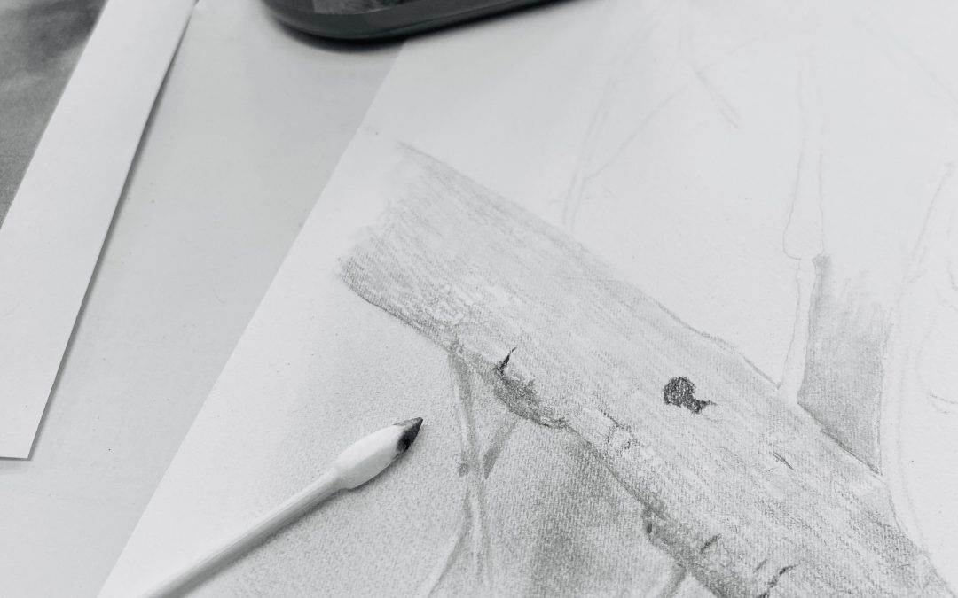 The Magic of Graphite Powder: Unlocking the Secrets of Exceptional Drawing